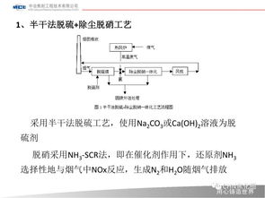 活性炭脫硫脫硝工藝流程圖