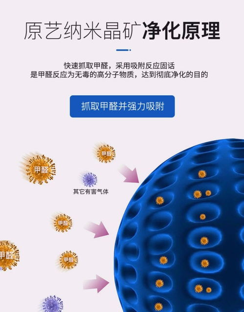 活性炭去車內異味根本沒有用